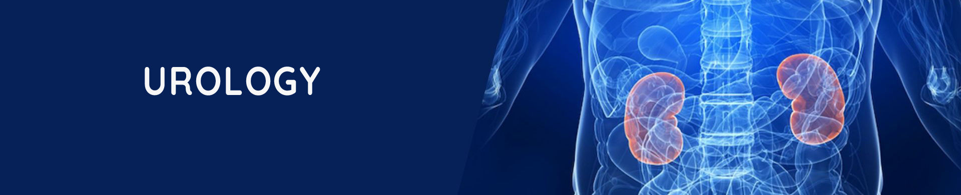 Prostate Treatment in Navi Mumbai
